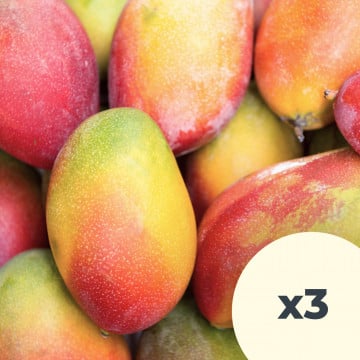 Lot de 3 mangues Lot de 3 mangues