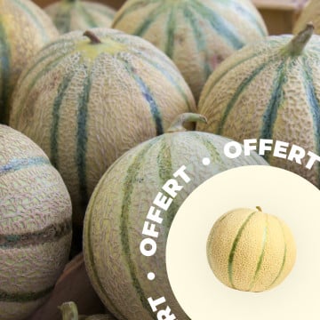 melon offert