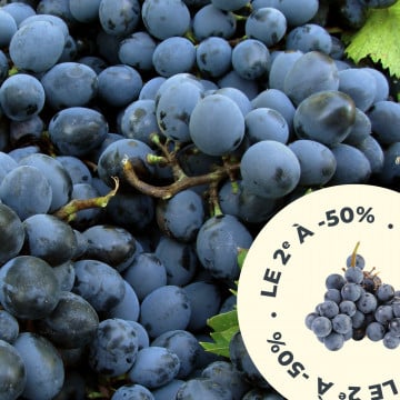 Votre 2e barquette de raisin à  50%