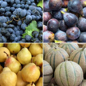 Panier de fruits de saison