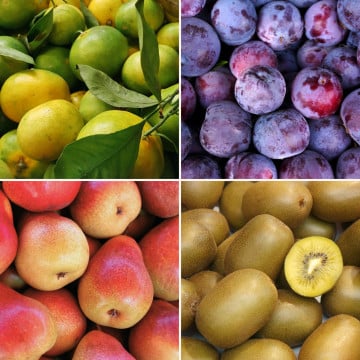 Panier de fruits de saison