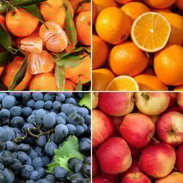 Panier de fruits de saison