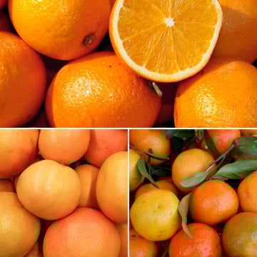 Panier de fruits de saison (100% agrumes) Panier de fruits de saison (100% agrumes)