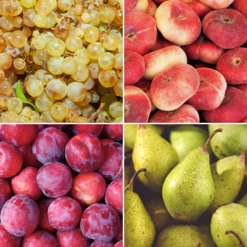 Panier de fruits de saison