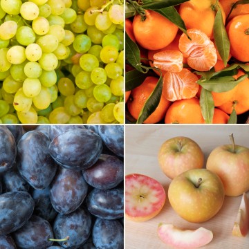Panier de fruits de saison