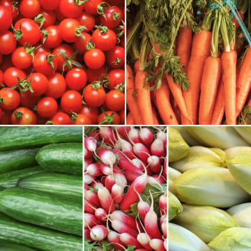 Panier de légumes de saison Panier de légumes de saison