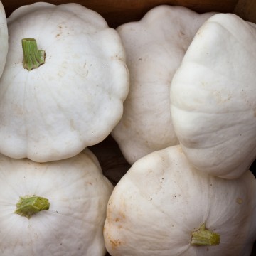 Pâtisson blanc