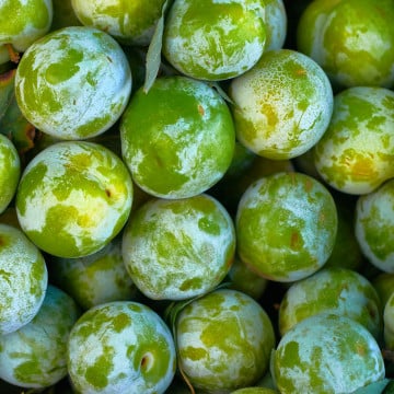 Prunes Reine claude
