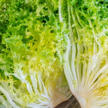 salades frisees salades frisees