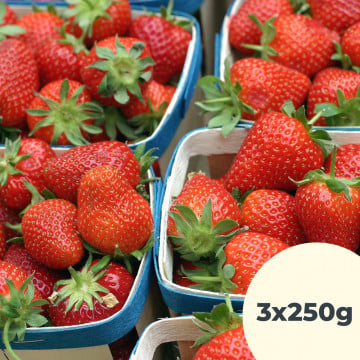 3 barquettes de fraises de 250g