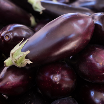 Aubergines