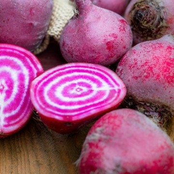 Betteraves Chioggia Betteraves Chioggia