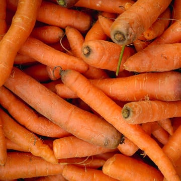 Carottes