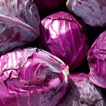 Choux lisses rouges Choux lisses rouges