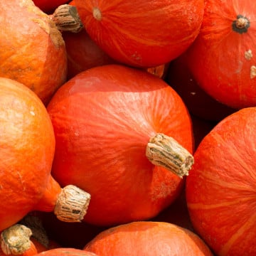 Courges potimarrons
