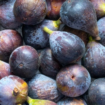 Figues