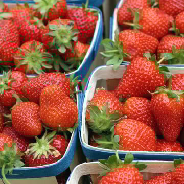 Barquette de fraises