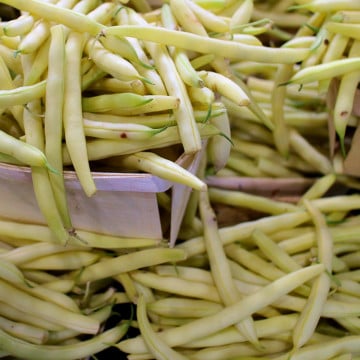 Haricots beurre