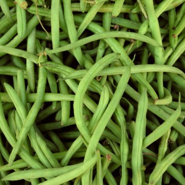 Haricots verts
