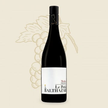 Pierrick Harang Wine Le Petit Balthazar Rouge 2024 Pierrick Harang Wine Le Petit Balthazar Rouge 2024