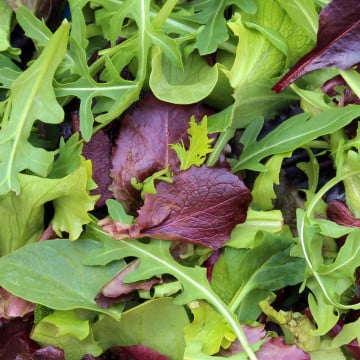 Mesclun