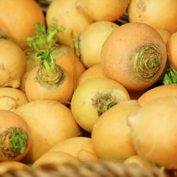 Navets boules d'or Navets boules d'or