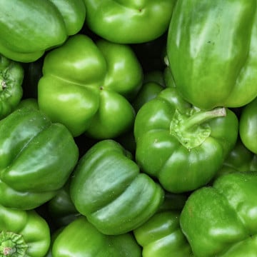 Poivrons verts Poivrons verts