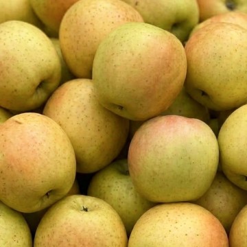 Pomme Anise