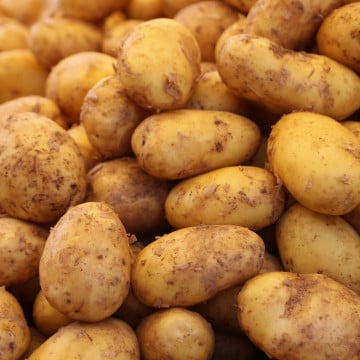 Pommes de terre nouvelles