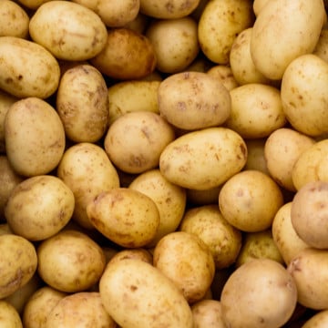 Pommes de terre rattes
