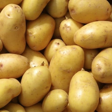 Pommes de terre