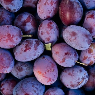 Prunes Quetsche