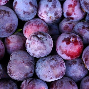 solo prunes lovita