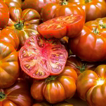 solo tomates anciennes