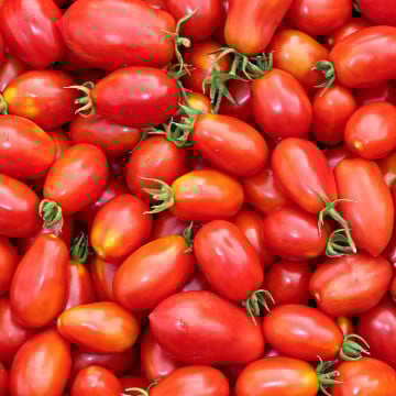 Tomates cerises allongées rouges