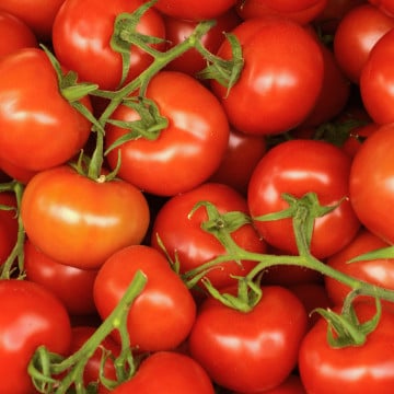 Tomates grappe