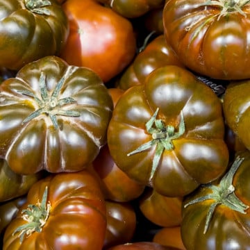 Tomates noire de crimée
