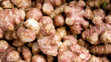 solo topinambours solo topinambours