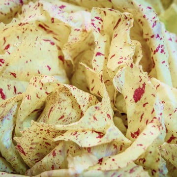 Salade Castelfranco