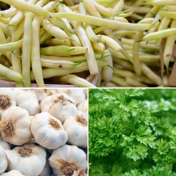 Haricots beurre, ail et persil