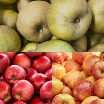 Trio de pommes : pomme canada grise, reine des reinettes et kissabel