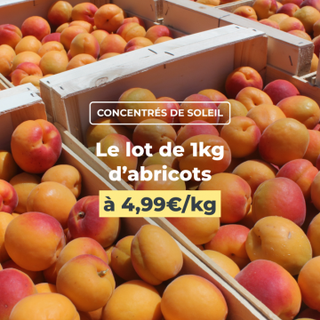 Abricots à 499€/kg