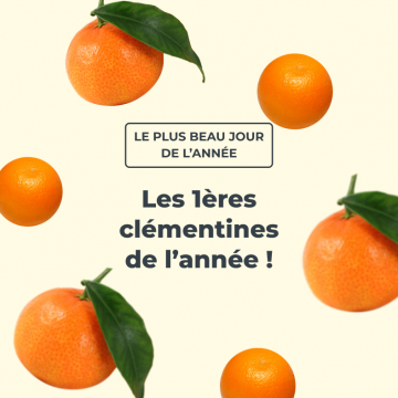 clementine ruby s42