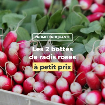 Les 2 bottes  de radis roses à petit prix