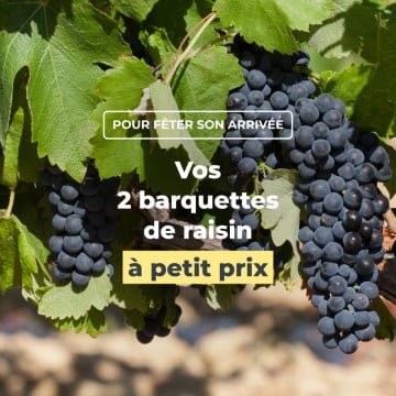 Les 2 barquettes de raisin Lavallée à petit prix