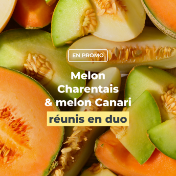 Melon Charentais & melon Canari en duo Melon Charentais & melon Canari en duo