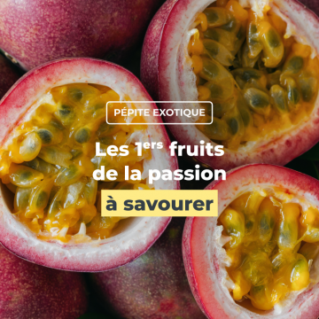 Les 1ers fruits de la passion à savourer Les 1ers fruits de la passion à savourer