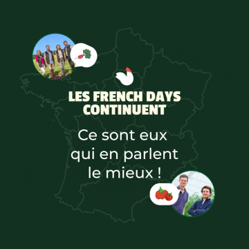 frenchdays s19 IDF ZB