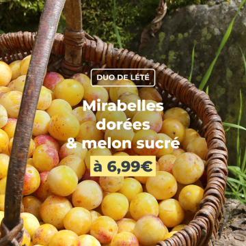 Mirabelles dorées & melon sucré à 6,99€