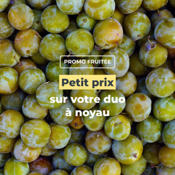 Petit prix sur votre duo à noyau